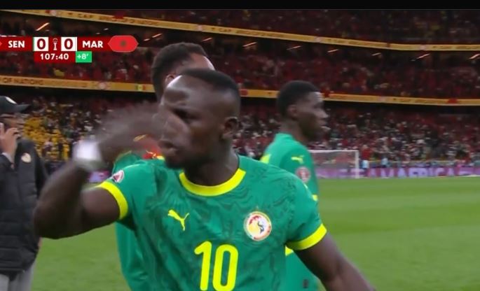 Mane