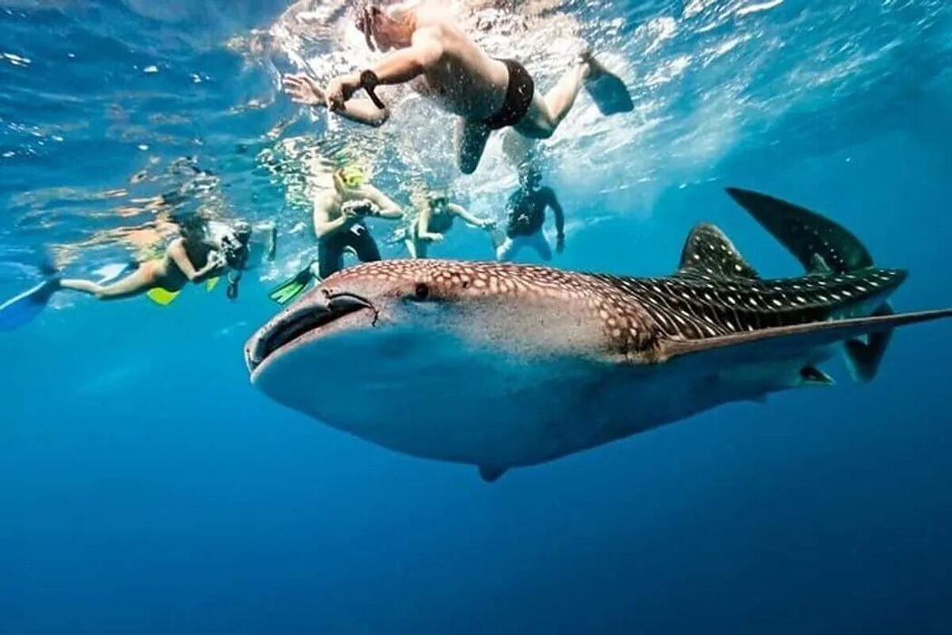 7 Electric Dream Destinations Wajib Cuba Sekali Seumur Hidup 5 7 Electric Dream Destinations Wajib Cuba Sekali Seumur Hidup