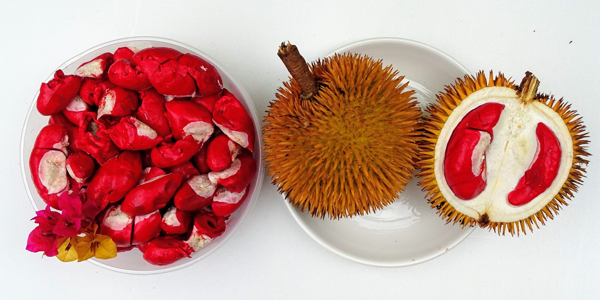 Durian Merah Bakal Jadi 'Benda Besar' Di Sabah