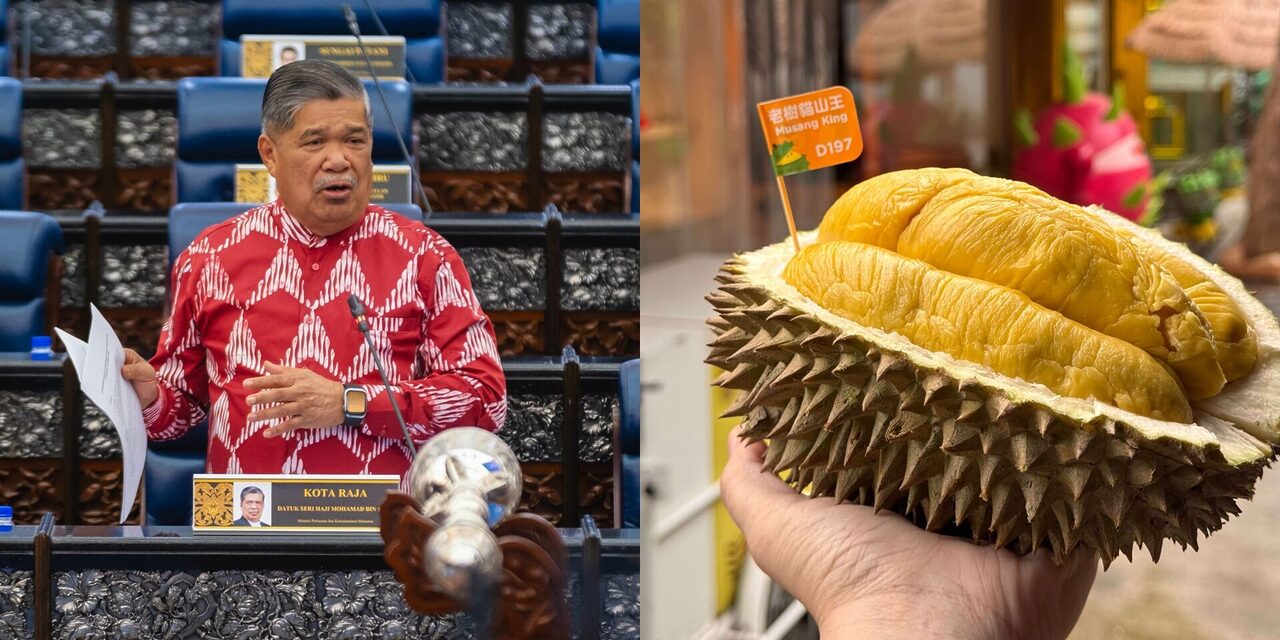 Mat Sabu: Negara Lain Tak Boleh 'Claim', Musang King Dilindungi GI Malaysia