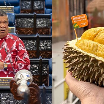 Mat Sabu: Negara Lain Tak Boleh 'Claim', Musang King Dilindungi GI Malaysia 5 Mat Sabu: Negara Lain Tak Boleh 'Claim', Musang King Dilindungi GI Malaysia