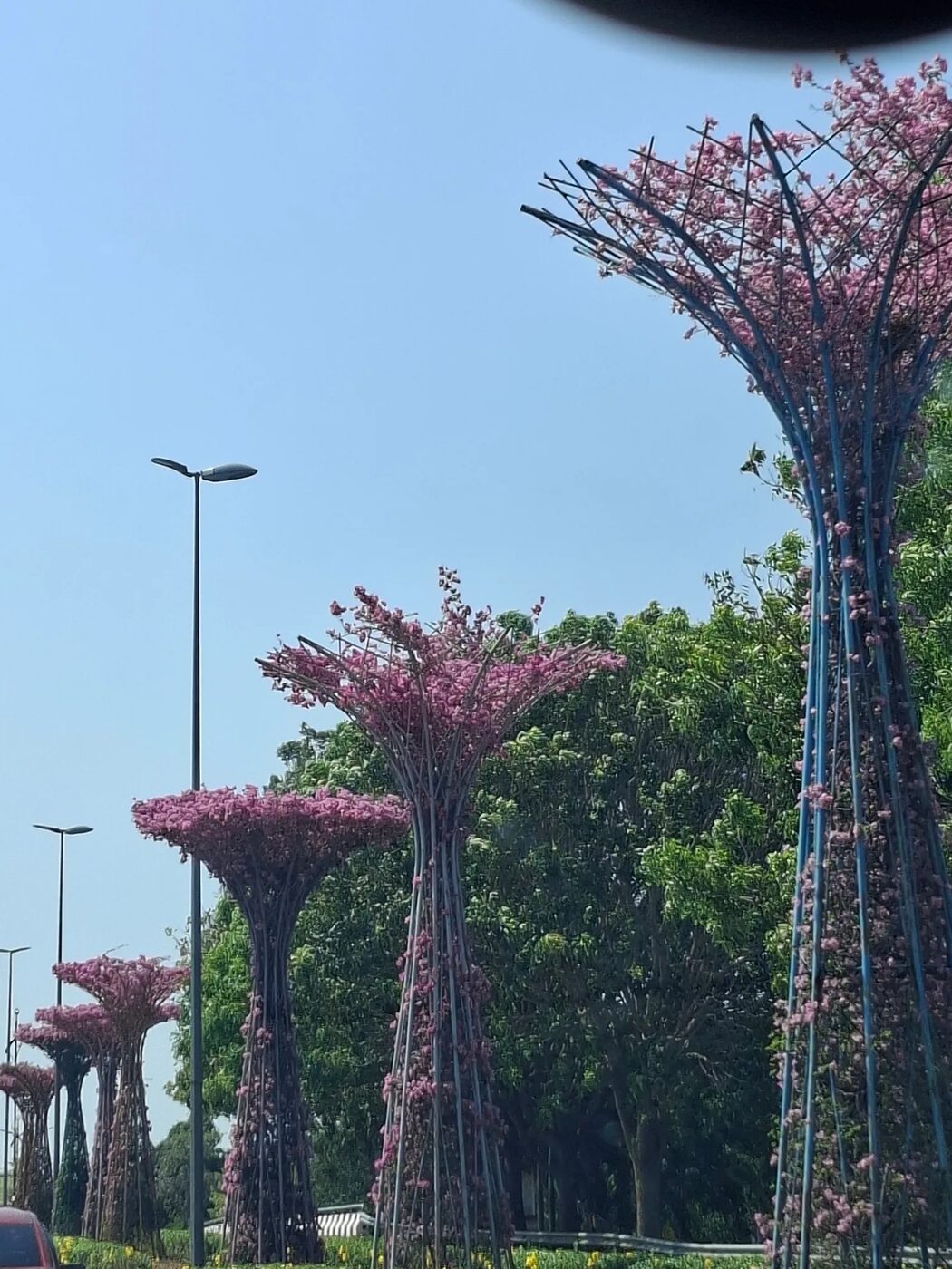 Landskap Kreatif Pokok Bunga Kertas Di Melaka Curi Tumpuan Ramai