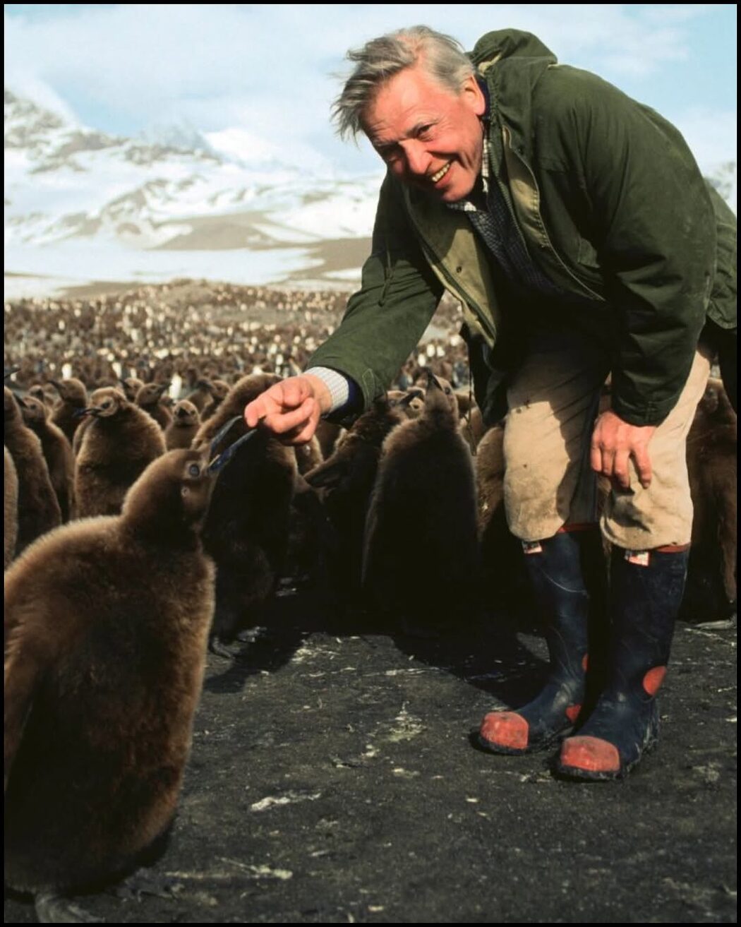 Pecah Tradisi '4-99', LEGO Naikkan Had Umur 100+ Khas Untuk Hari Jadi Sir David Attenborough 2 Pecah Tradisi '4-99', LEGO Naikkan Had Umur 100+ Khas Untuk Hari Jadi Sir David Attenborough