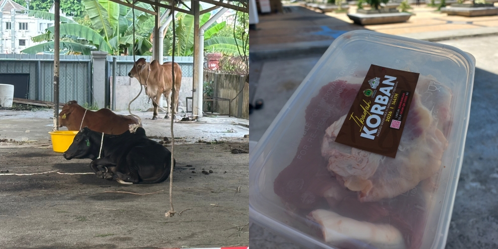 Netizen Seberang Puji Melambung SOP Korban Malaysia, Akui Jauh Lebih Sistematik