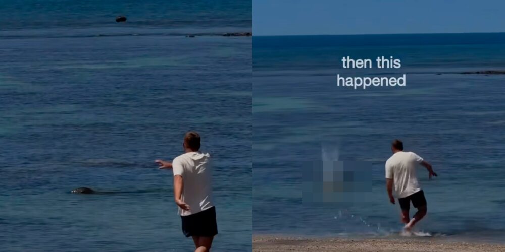 'Samanlah, Saya Kaya!'- Padah Lontar Batu Pada Anjing Laut Terancam, Pelancong Bongkak Dibantai Oleh Penduduk Hawaii