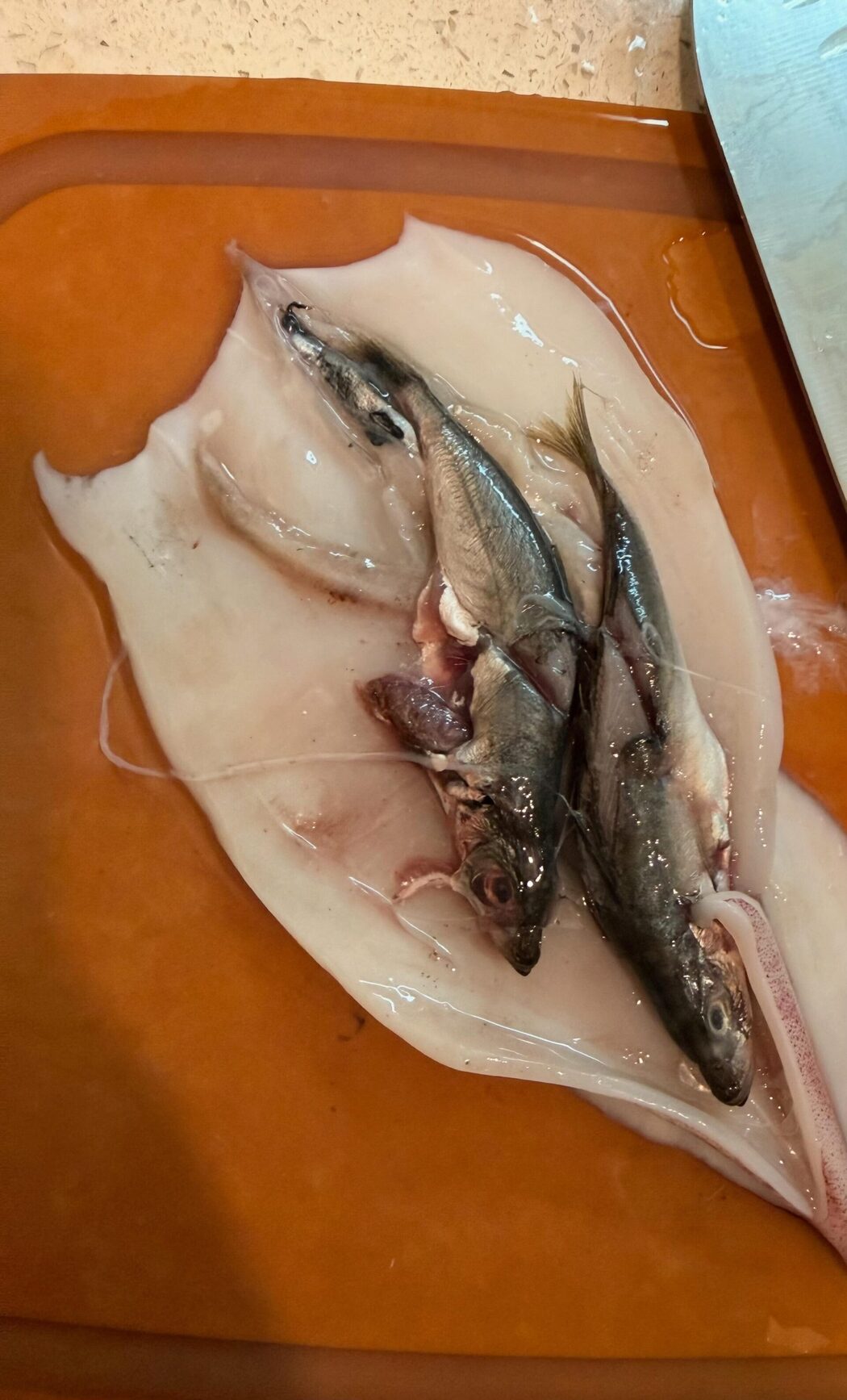 Taktik Sorok Ikan Dalam Sotong? Pengguna Dakwa Ditipu Di Pasar Besar KK Untuk Tambah Berat Timbangan 2 Taktik Sorok Ikan Dalam Sotong? Pengguna Dakwa Ditipu Di Pasar Besar KK Untuk Tambah Berat Timbangan