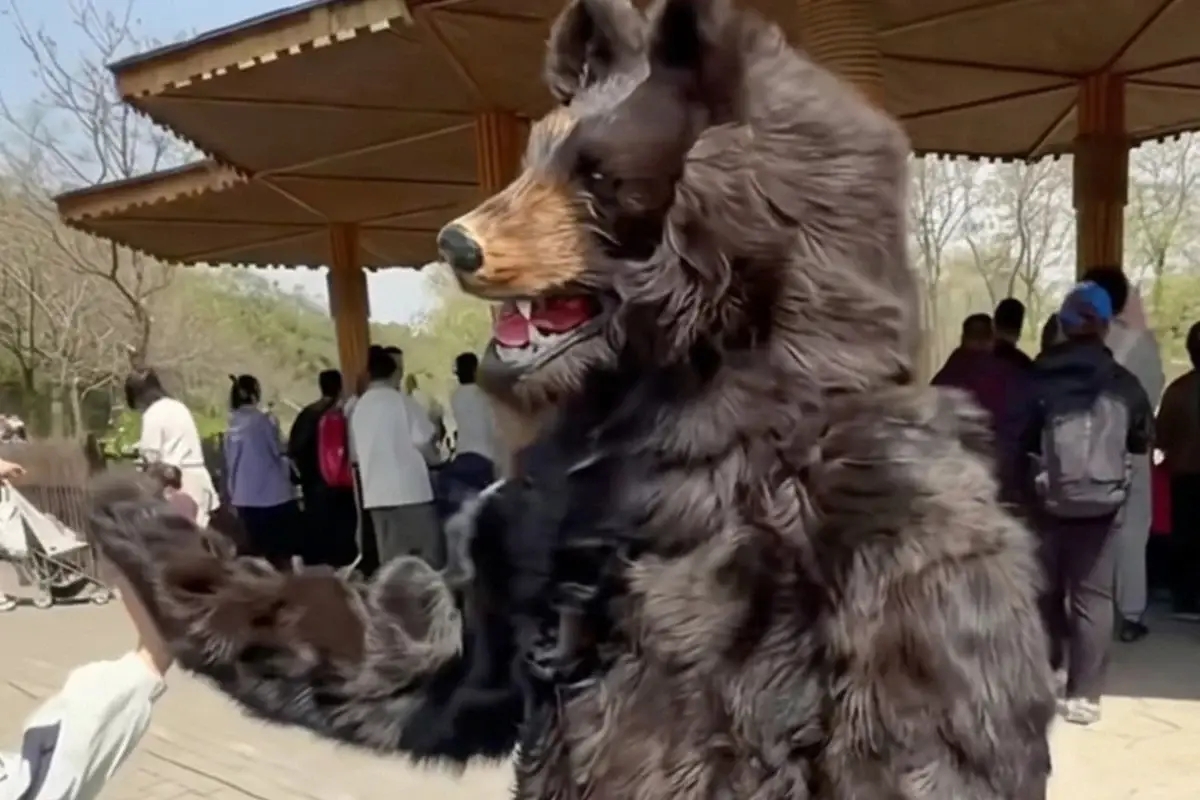Gaji Lebih RM60,000 Hanya Untuk Jadi ‘Beruang’, Iklan Kerja Kosong Zoo Di China Ini Raih Perhatian Ramai