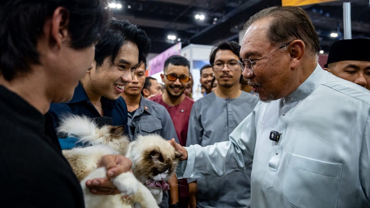 Kos Cecah Ribuan Ringgit Umpama Sara Anak Sendiri, Pencinta Kucing Mohon PMX Wujudkan Insentif Pelepasan Cukai