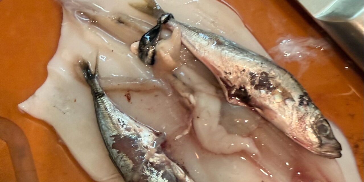Taktik Sorok Ikan Dalam Sotong? Pengguna Dakwa Ditipu Di Pasar Besar KK Untuk Tambah Berat Timbangan