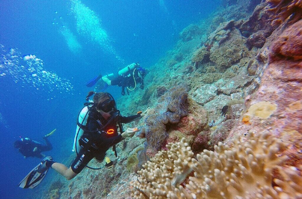 5 Pulau Malaysia