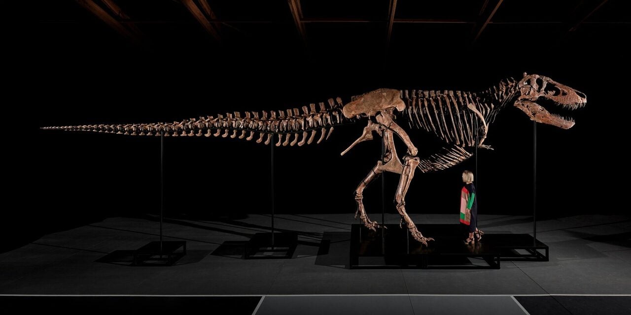 10 Minit Pembidaan Sengit, Fosil T. rex 'Gus' Berusia 67 Juta Tahun Terjual Lebih RM200 Juta