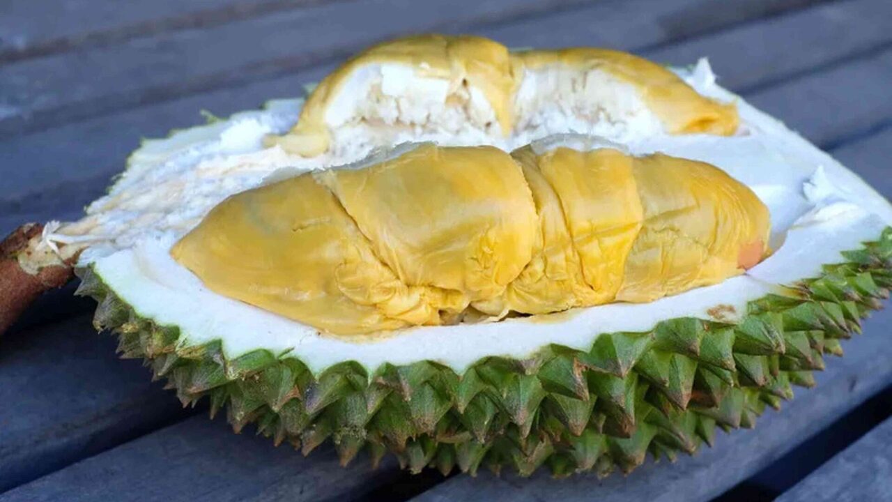 'Rasa Macam Gabungan Musang King Dan Black Thorn' – Pelanggan Sanggup Rebut 'Tupai King' Walau RM120 Sekilogram