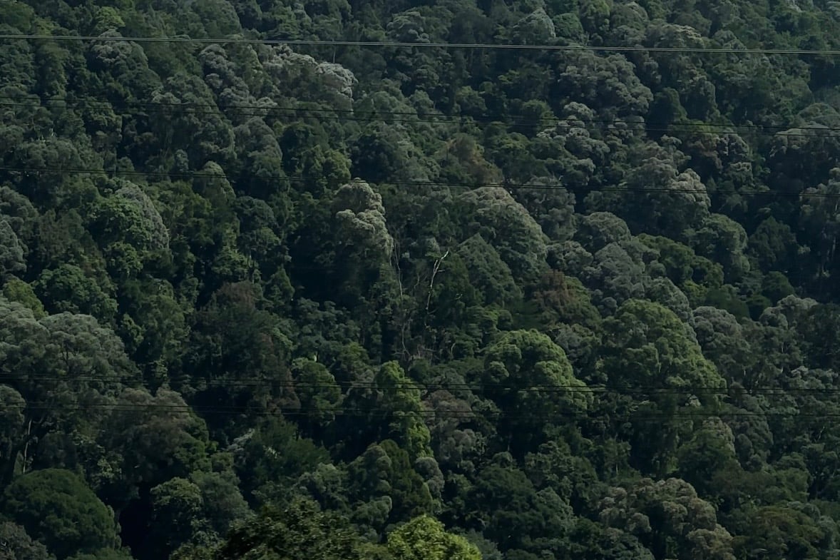 Elak Kemalangan Dan Kos SAR Mahal, NRES Ketatkan Syarat Mendaki Di Seluruh Negara