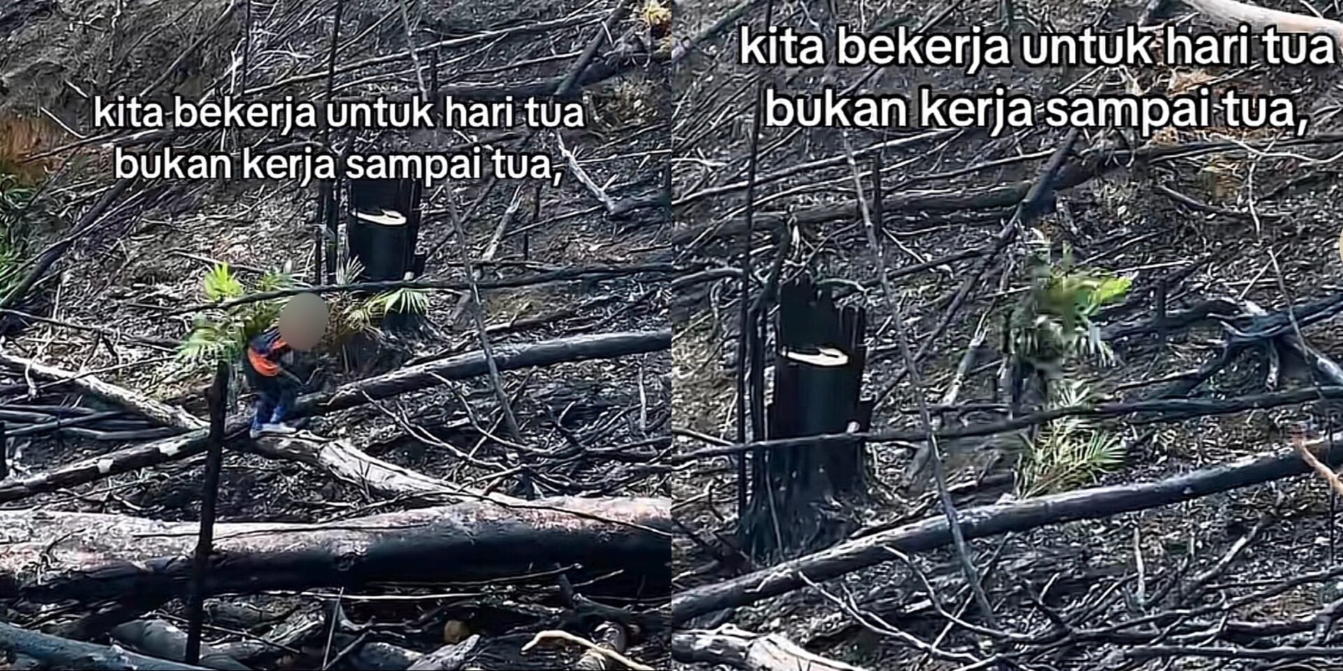 ‘Maafkan Kami Warga Malaysia’ – Netizen Indonesia Geram Individu Dirakam Tanam Sawit Lepas Kebakaran Hutan