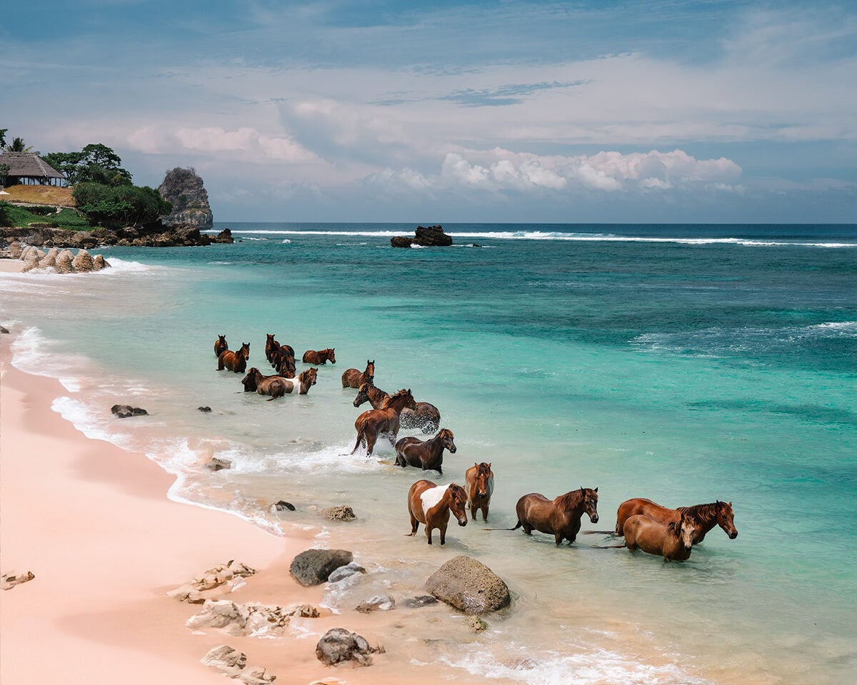 sumba