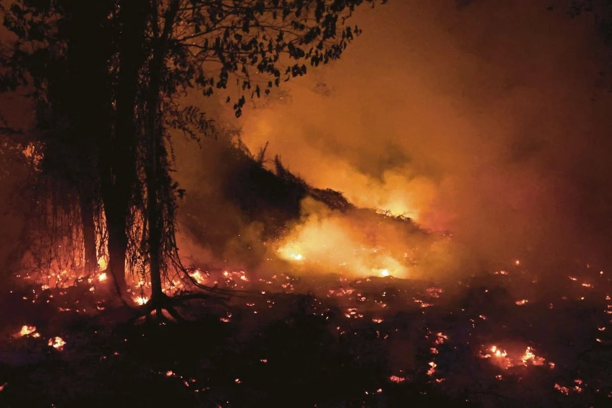 Tangkap 72 Suspek, Polis Indonesia Mula Semak Akaun Bank Jejak Syarikat Yang Upah 'Bakar Hutan'