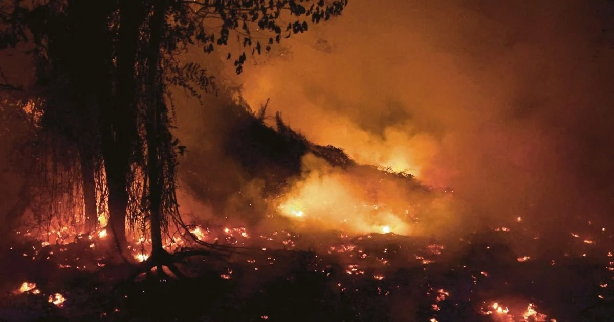 Kecoh Syarikat Malaysia Dituduh Bakar Hutan Indonesia, Ini Respon Tegas PM Anwar